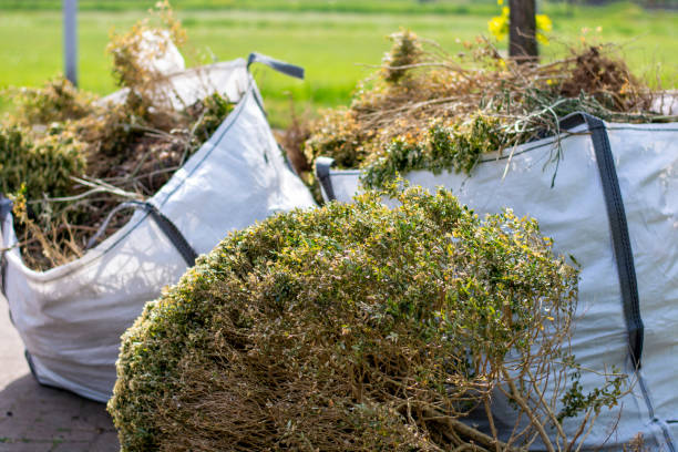 Professional Junk Removal in Fresno, TX